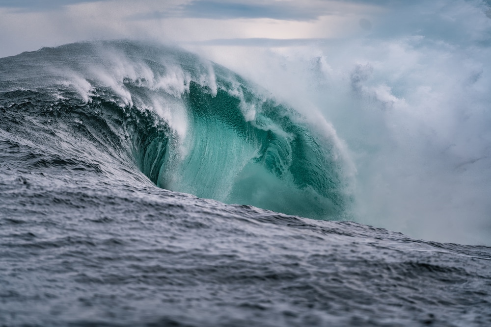 Global Alarm: Scientists Sound the Warning on a Planetary Crisis