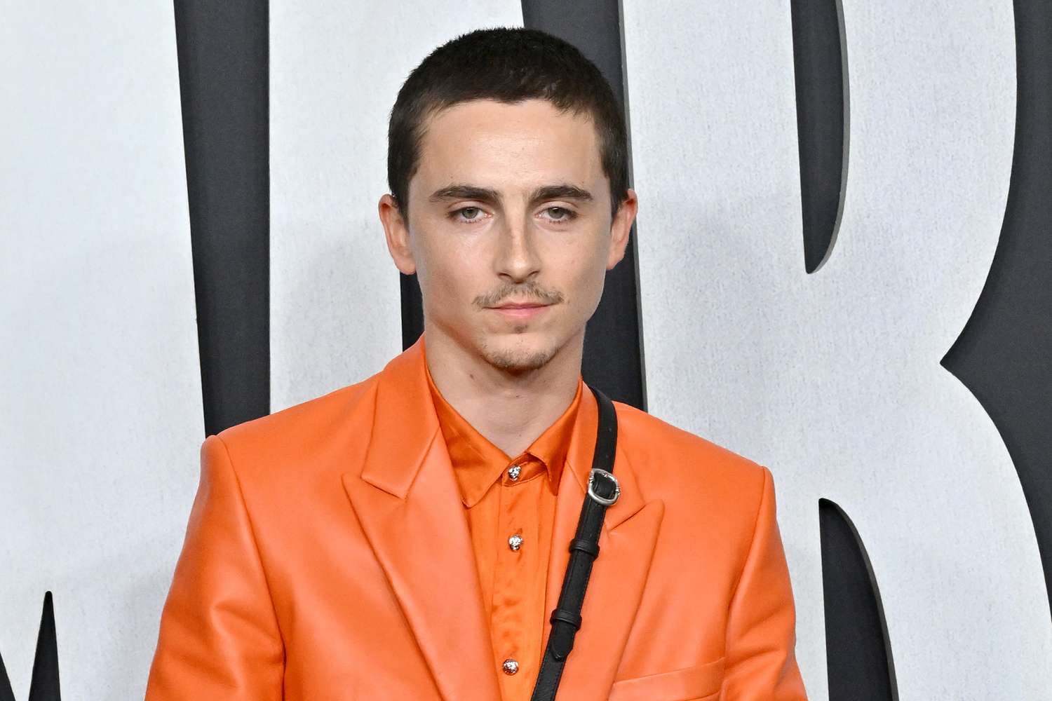 Timothée Chalamet Advocates for Longer Hair in ‘Dune 3’