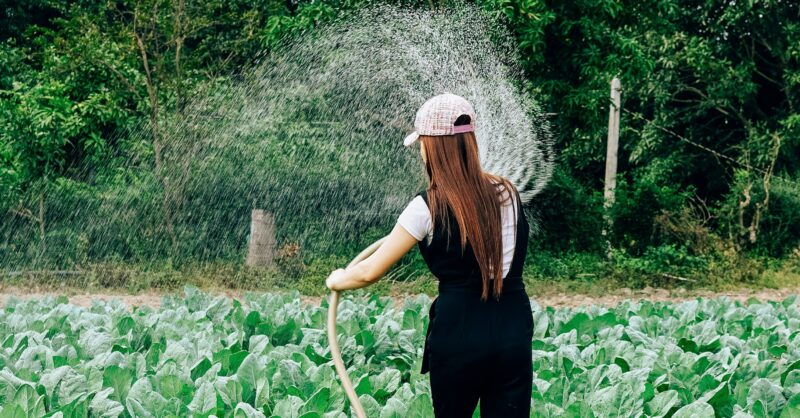 Enhancing Local weather Resilience: The Function of Monetary Establishments in Adaptation Finance at COP30