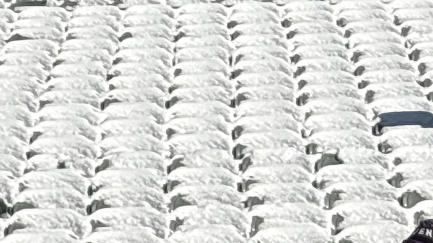 Bengals Violate League Coverage by Failing to Clear Snow from Stadium Seats