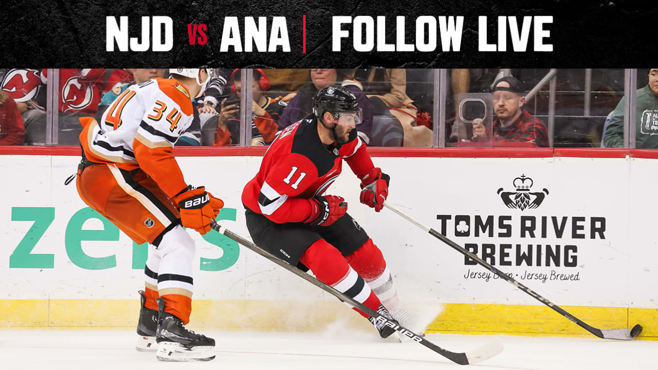 Devils vs. Geese: Stay Sport Protection